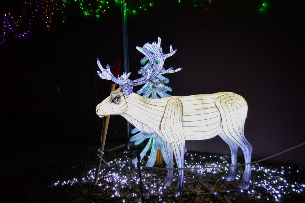 Sculptures lumineuses en forme de renne