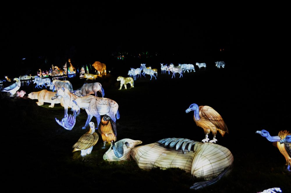 Sculptures lumineuses en forme d'animaux