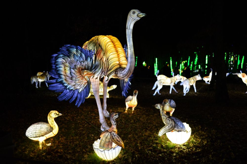 Sculptures lumineuses en forme d'autruche avec 3 oeufs qui viennent d'éclore
