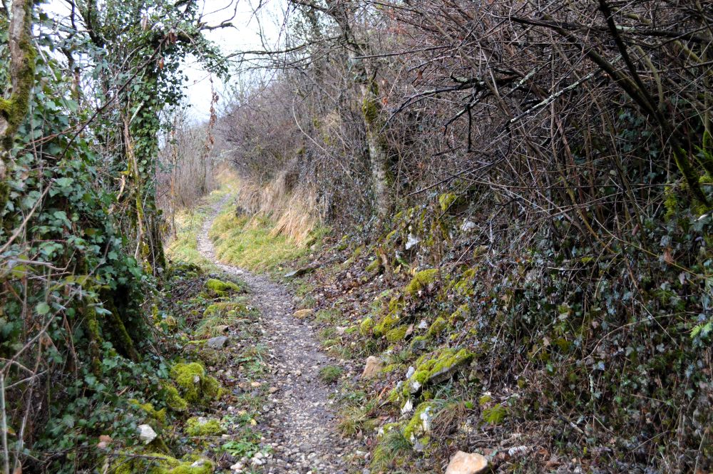 chemin de randonnée en campagne