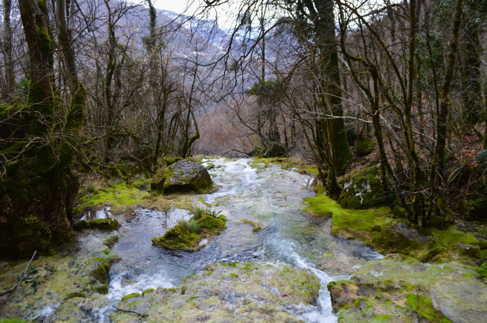 cascade sur le ruisseau de Gournier