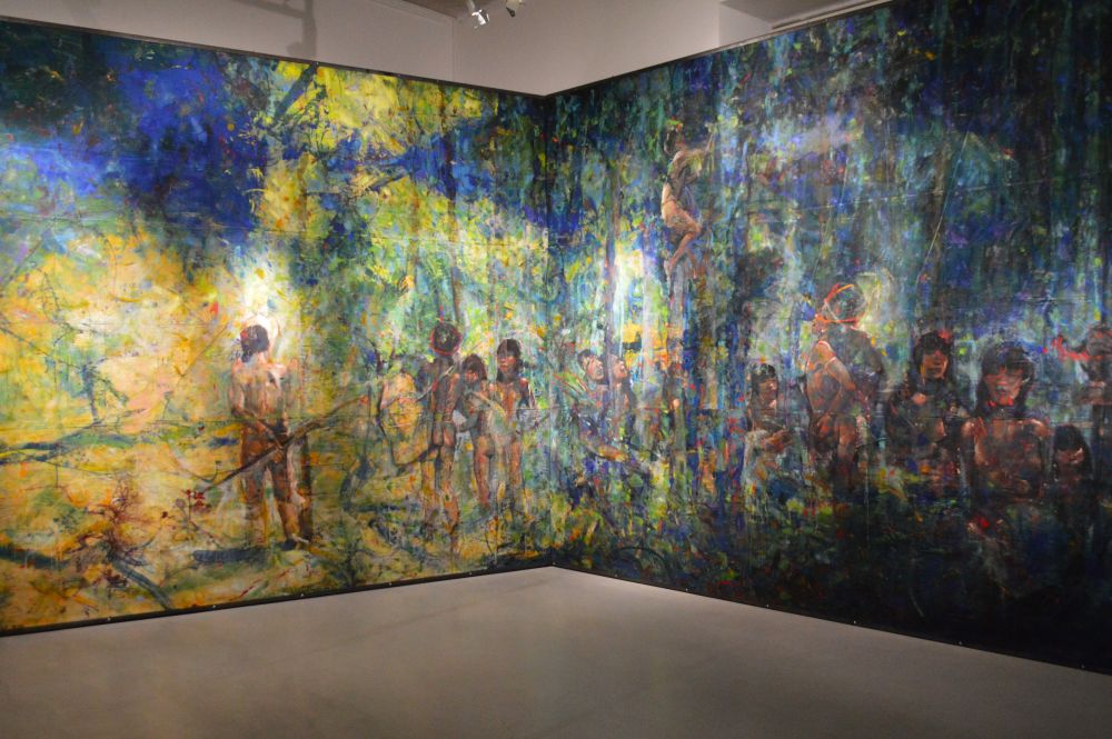 exposition Amazônia de Dalva Duarte au MAC de Montélimar