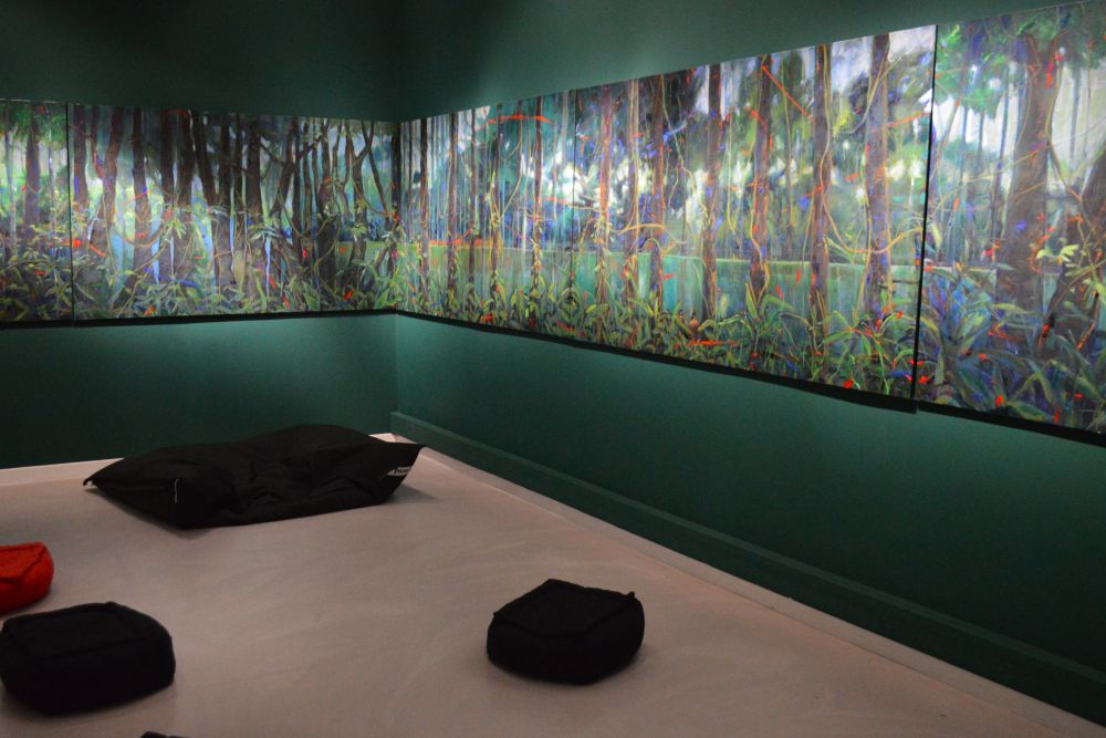 exposition Amazônia de Dalva Duarte au MAC de Montélimar