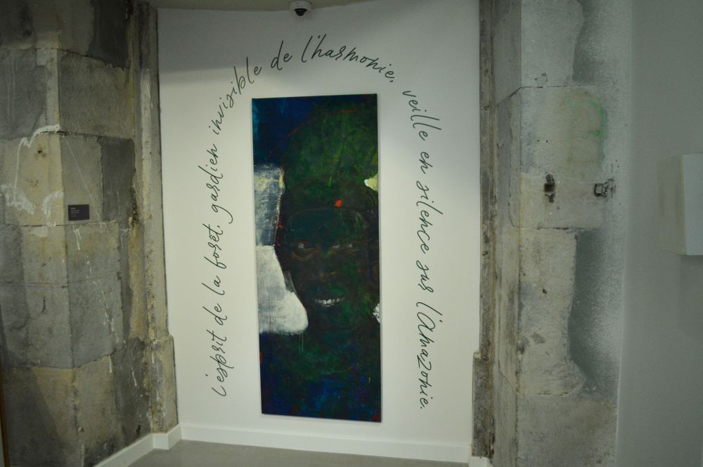 exposition Amazônia de Dalva Duarte au MAC de Montélimar