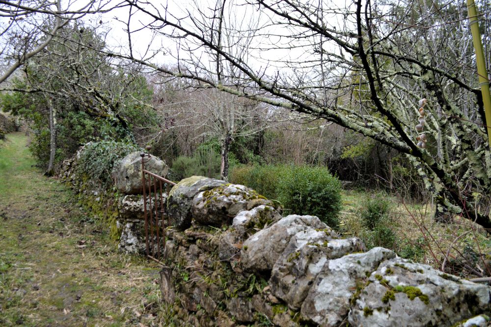 chemin bordé d'un muret en pierre
