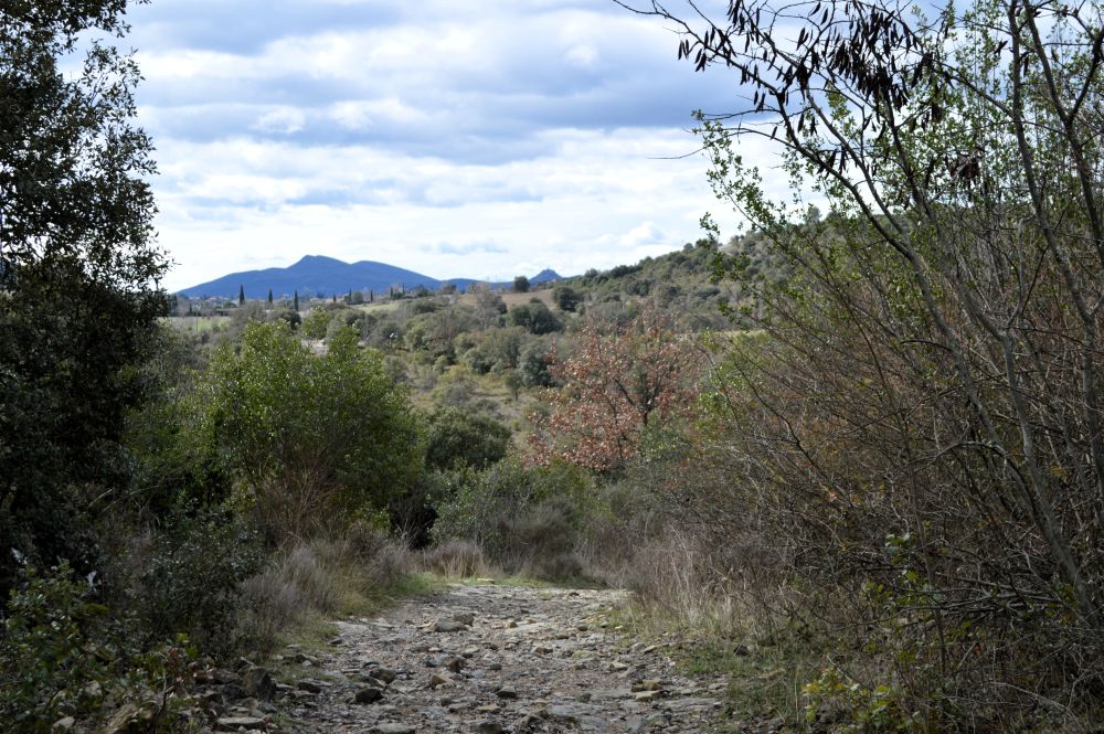 chemin dans la campagne ardéchoise