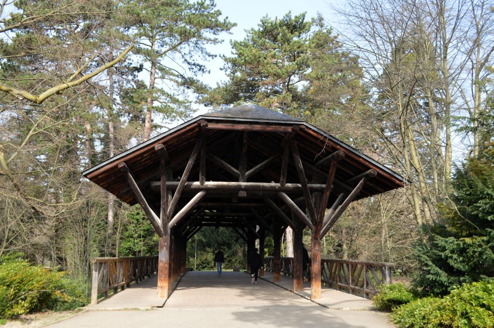 pont couvert en bois au parc de la Tête d'Or à Lyon
