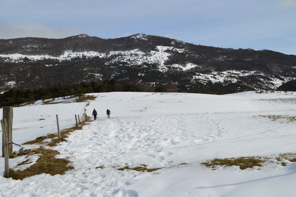 paysage enneigé du Vercors