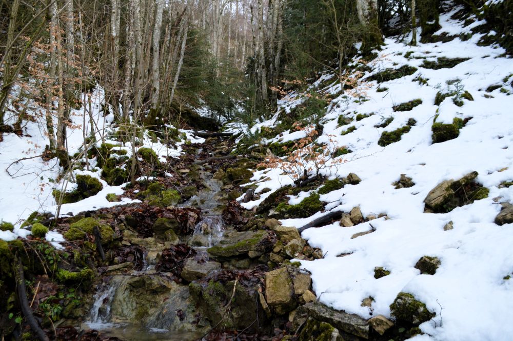 paysage enneigé traversé par un ruisseau