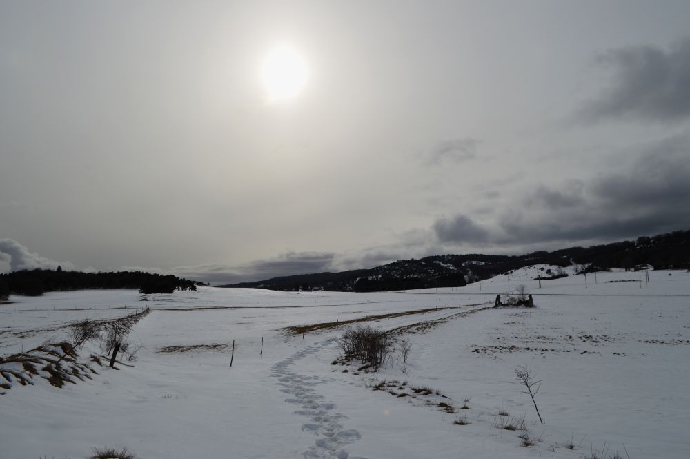 paysage enneigé du Vercors