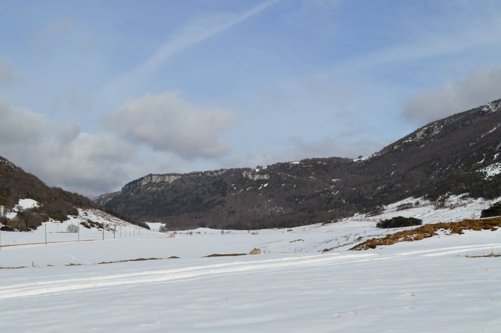 le plateau de Léoncel dans le Vercors dromois sous la neige