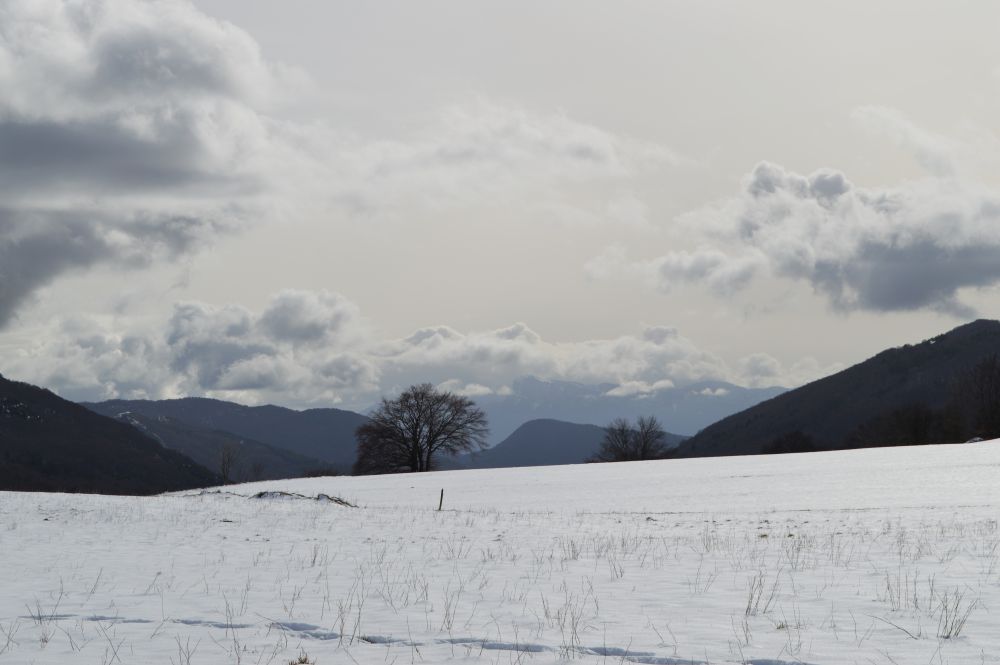 paysage enneigé du Vercors