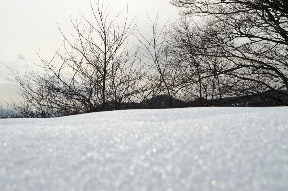 paysage enneigé du Vercors
