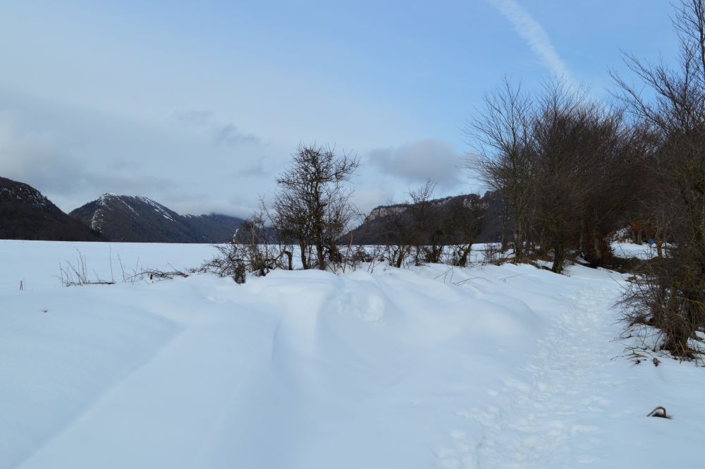 paysage enneigé du Vercors