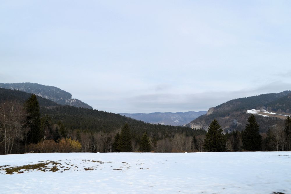 paysage enneigé du Vercors