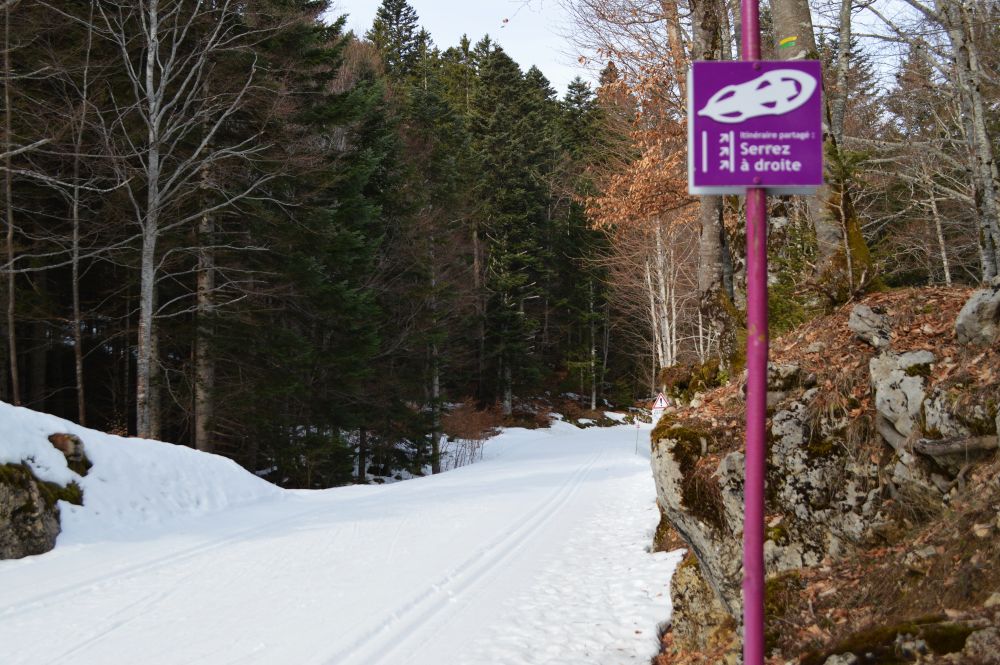 piste mixte ski de fond et randonnée en raquettes