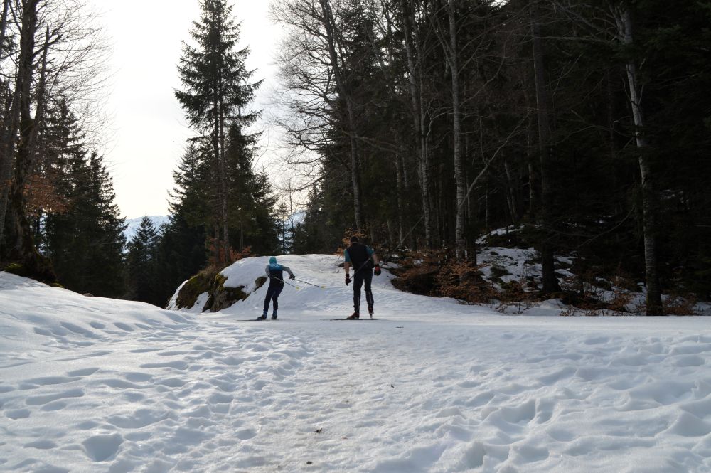 des skieurs sur une piste de ski de fond