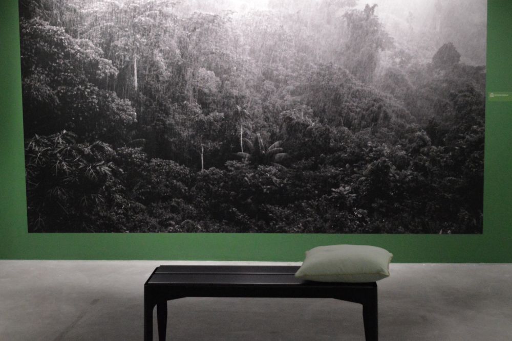 dans l'exposition Les temps modernes, Palawan, Philippines. Pierre de Vallombreuse.