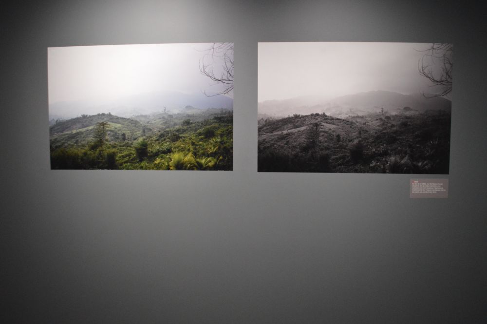 2 tirages de la même photo, un en noir et blanc, l'autre en couleurs