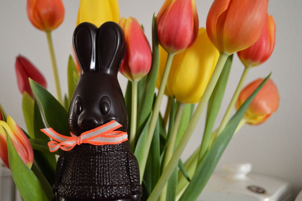 lapin en chocolat et tulipes