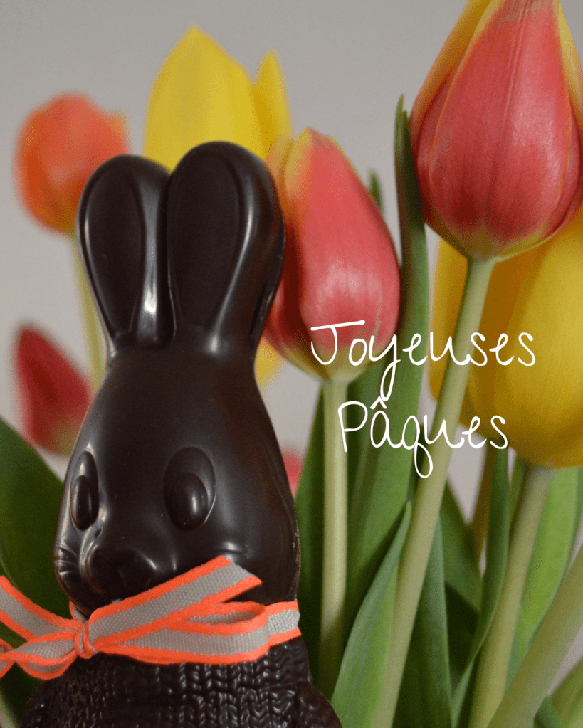 un lapin en chocolat et des tulipes