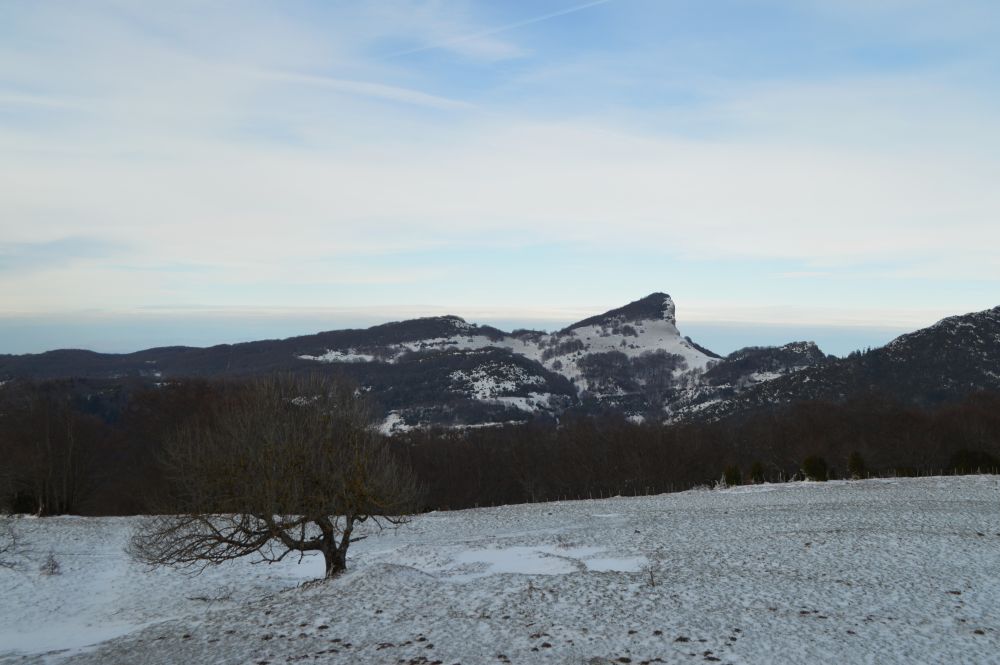 paysage de montagne enneigé