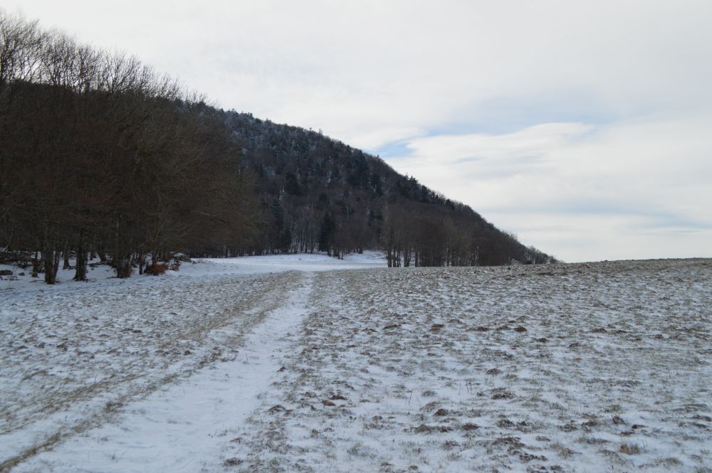 paysage de montagne enneigé