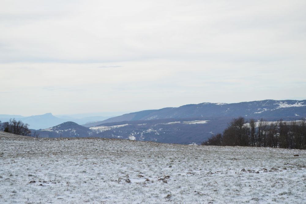 paysage de montagne enneigé