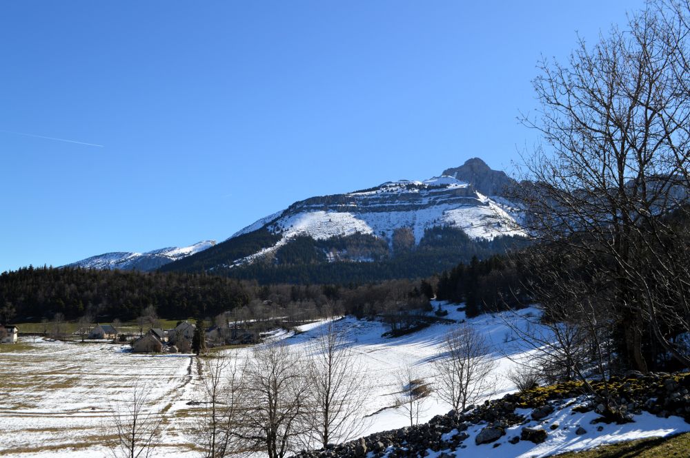 paysage de montagne enneigé