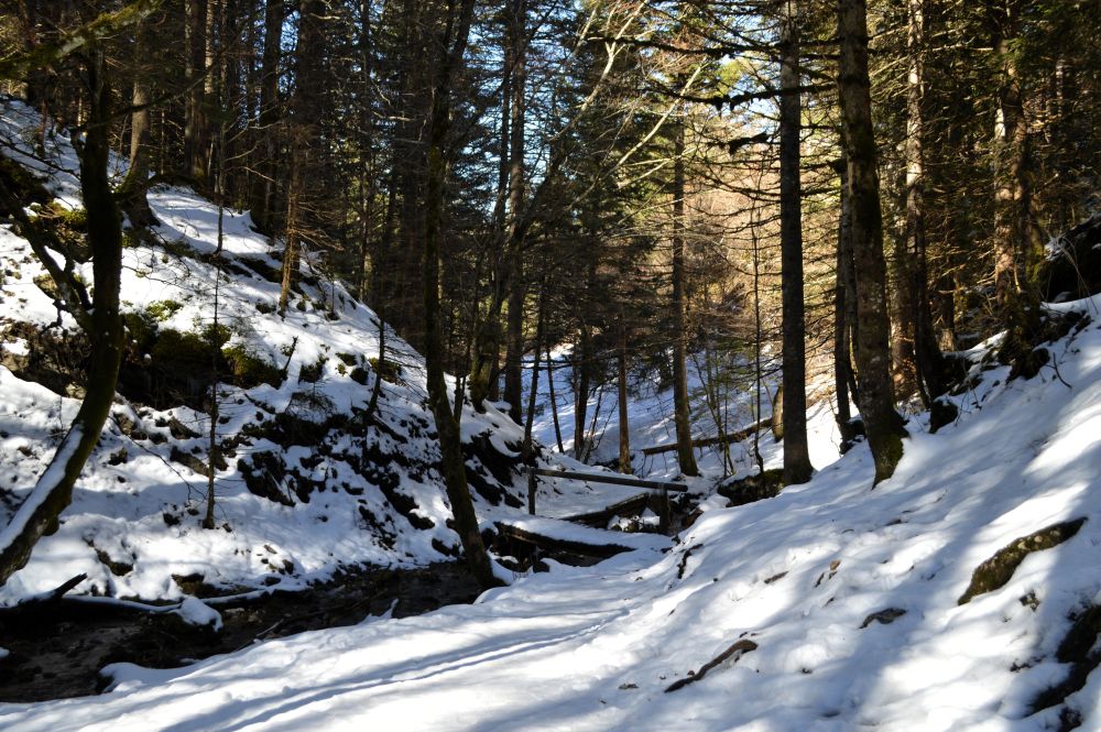abords de la cascade de la Fauge à Villard de Lans