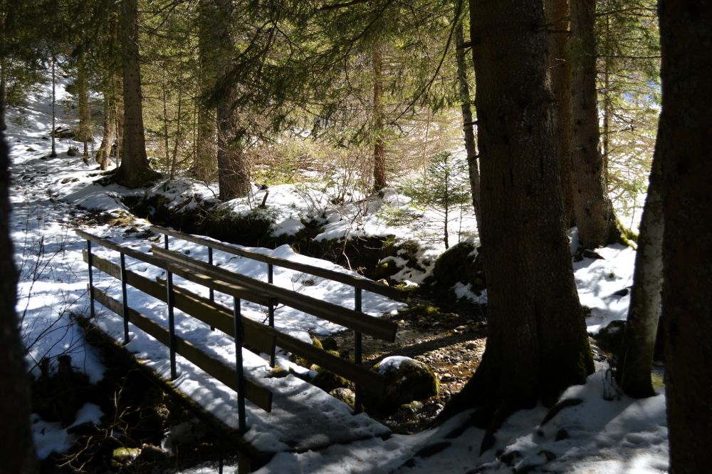 petit pont en bois dans une forêt enneigée