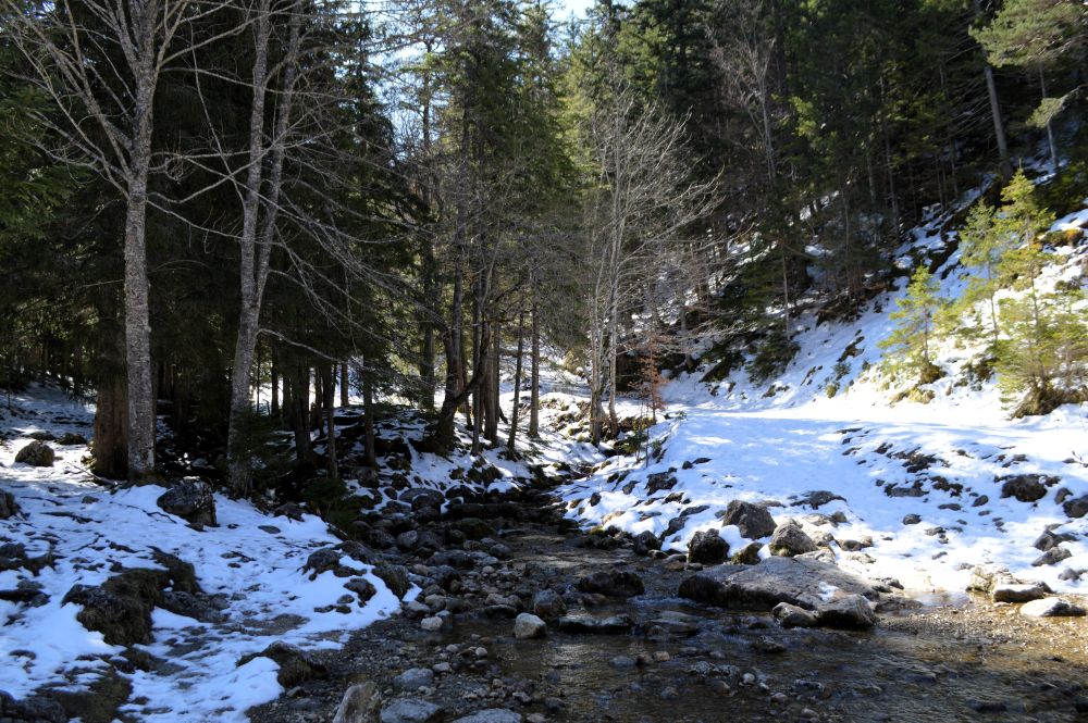 un ruisseau dans un sous bois enneigé