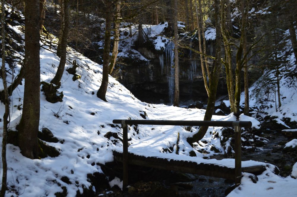 abords de la cascade de la Fauge à Villard de Lans