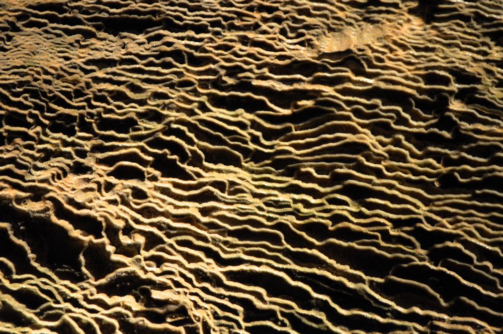 vagues de calcaire 