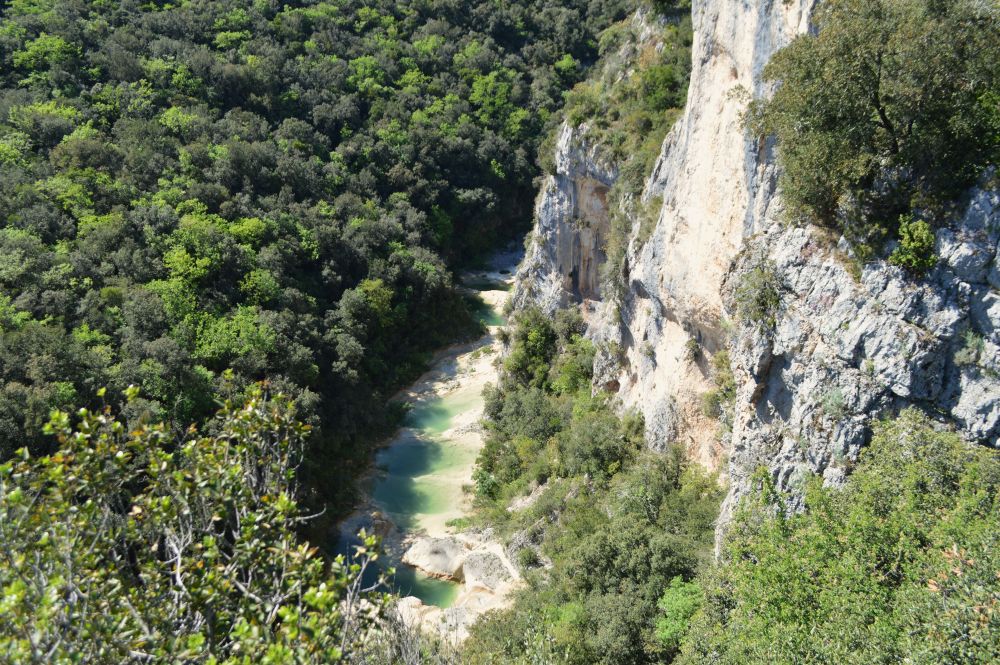 vue sur une rivière au pied d'une falaise et dans la forêt