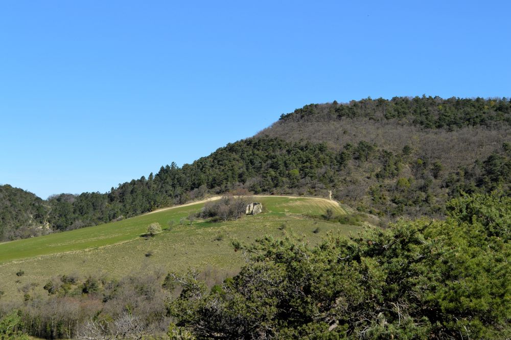 paysage de moyenne montagne au pied du Vercors