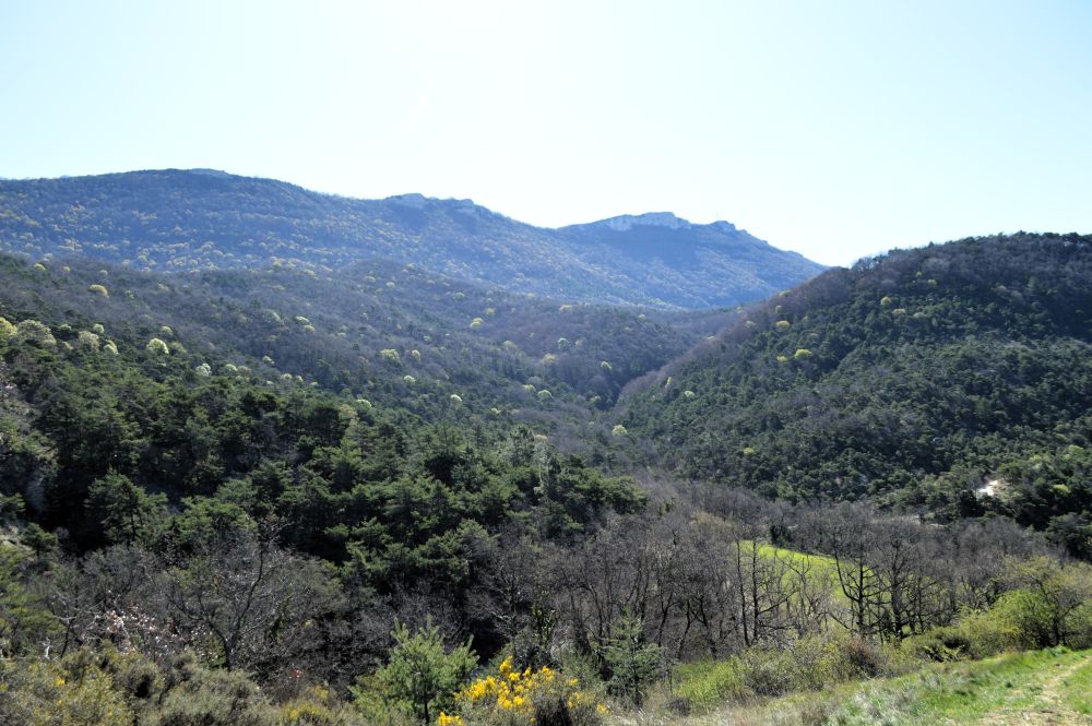 paysage de moyenne montagne au pied du Vercors