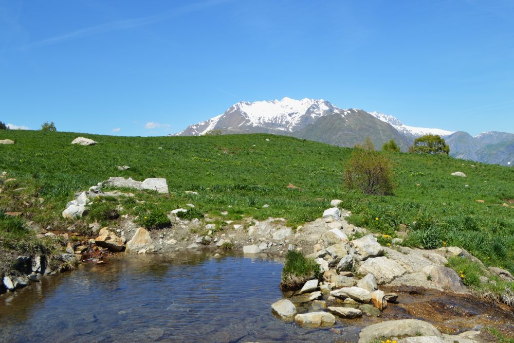 mare dans un alpage de montagne