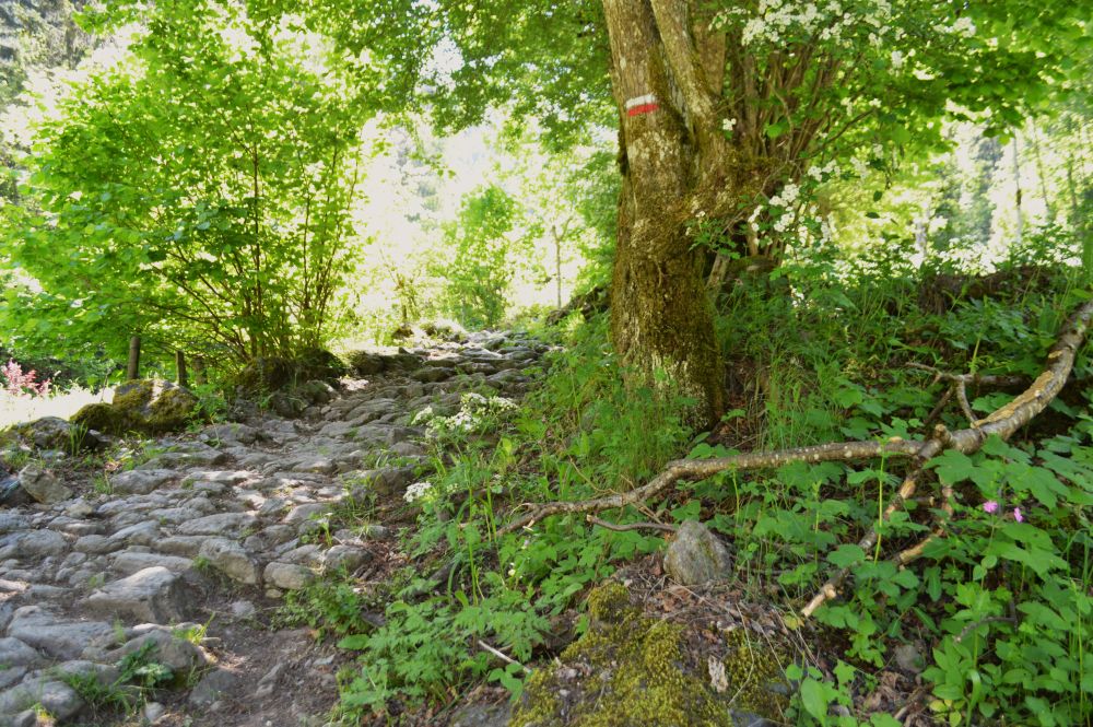 chemin vers la cascade de la Muzelle
