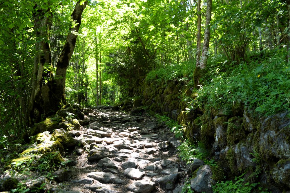 chemin vers la cascade de la Muzelle