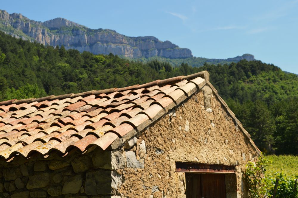 cabanon dans les vignes au pied des montagnes