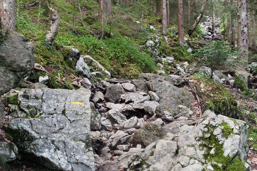 sentier dans les cailloux