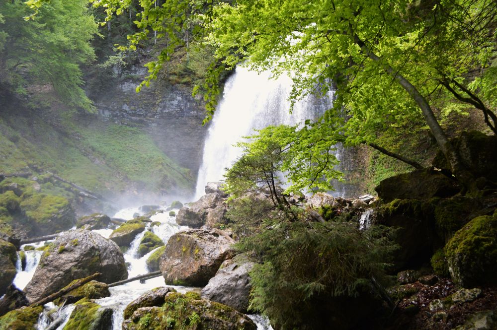 cascade en forêt