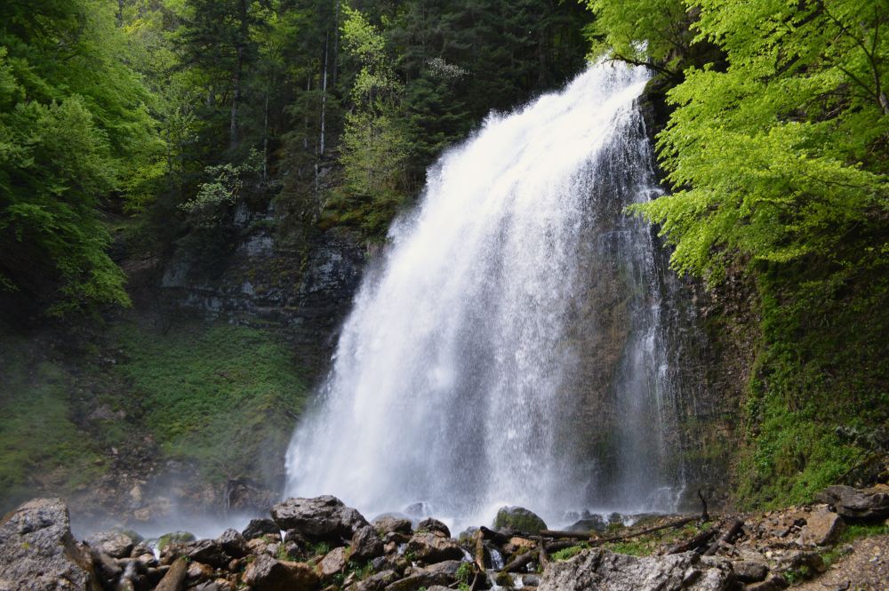 cascade en forêt