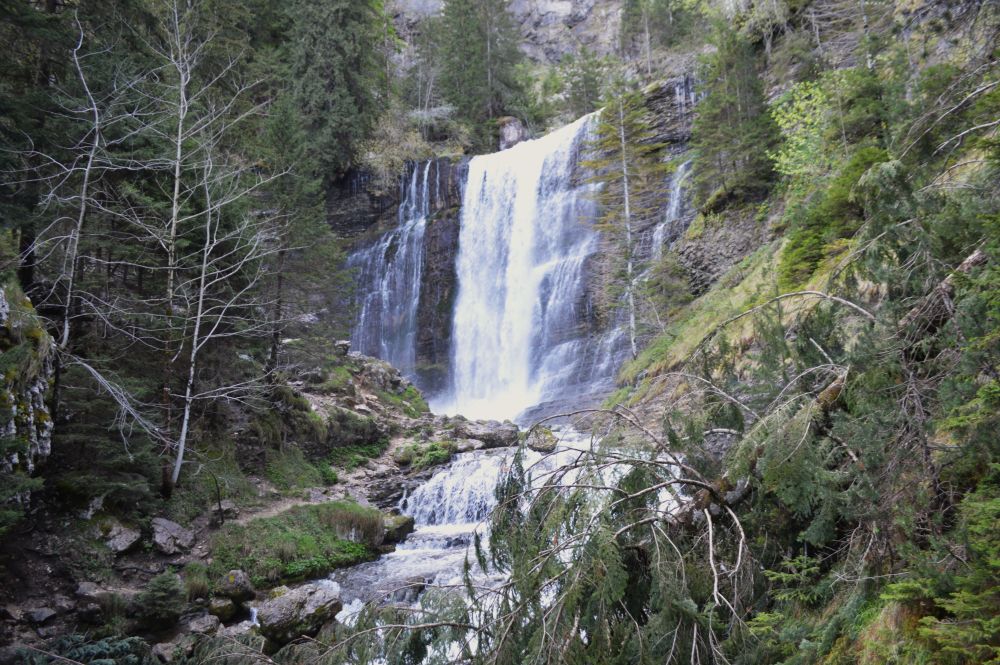 immense cascade au milieu de la forêt
