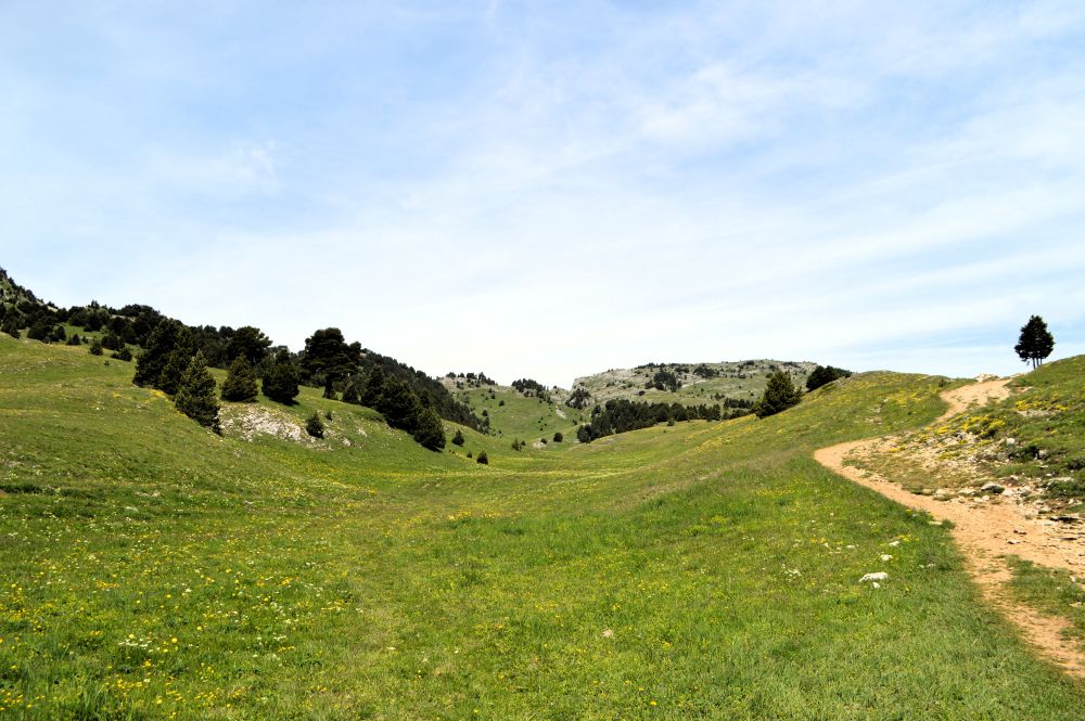 dans le vallon de Combeau