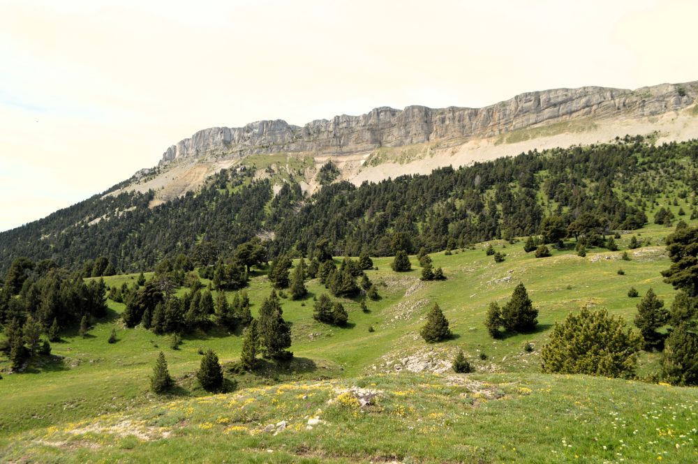 dans le vallon de Combeau