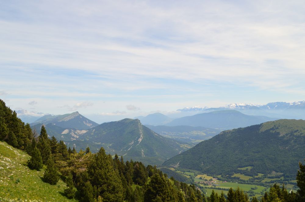 dans le vallon de Combeau
