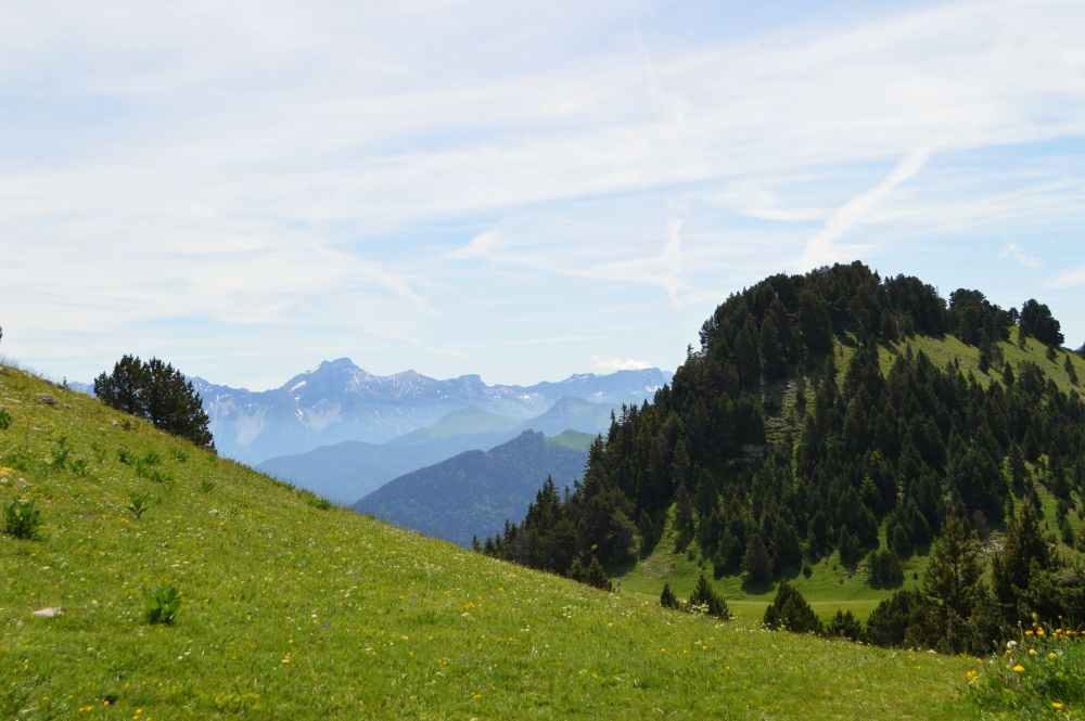 dans le vallon de Combeau
