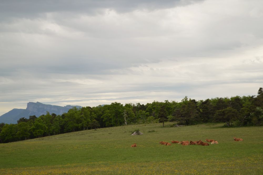 paysage du Vercors